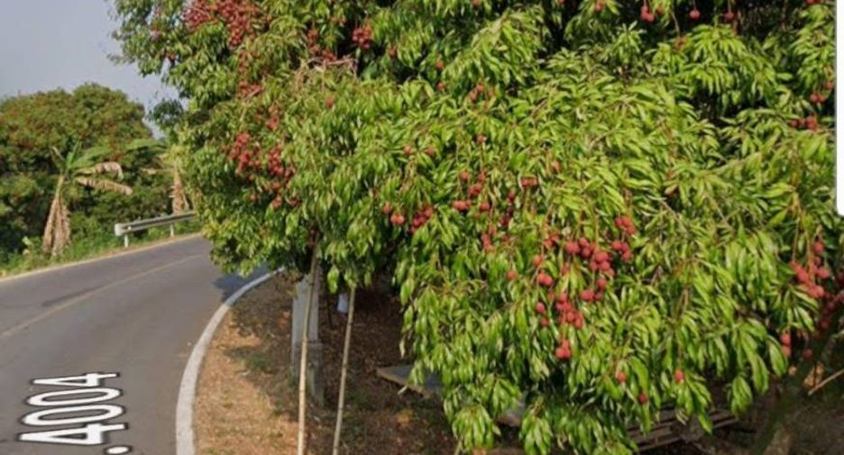 For sale land in Amphawa, Samut Songkhram