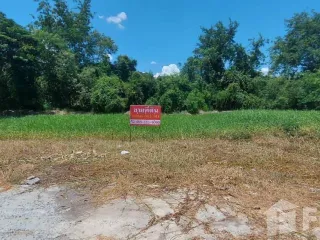For sale land in Mueang Lop Buri, Lopburi
