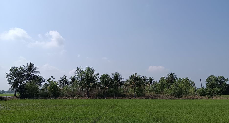 For sale land in Tha Ruea, Phra Nakhon Si Ayutthaya