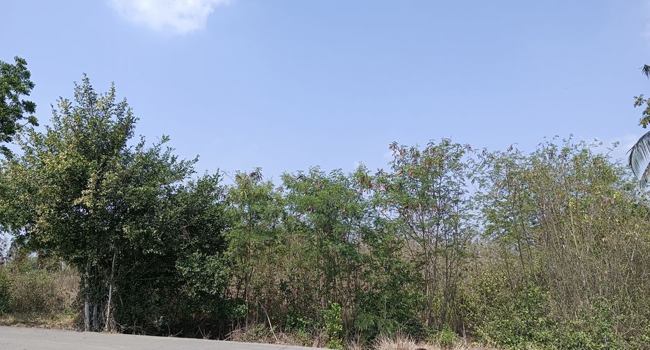 For sale land in Tha Ruea, Phra Nakhon Si Ayutthaya