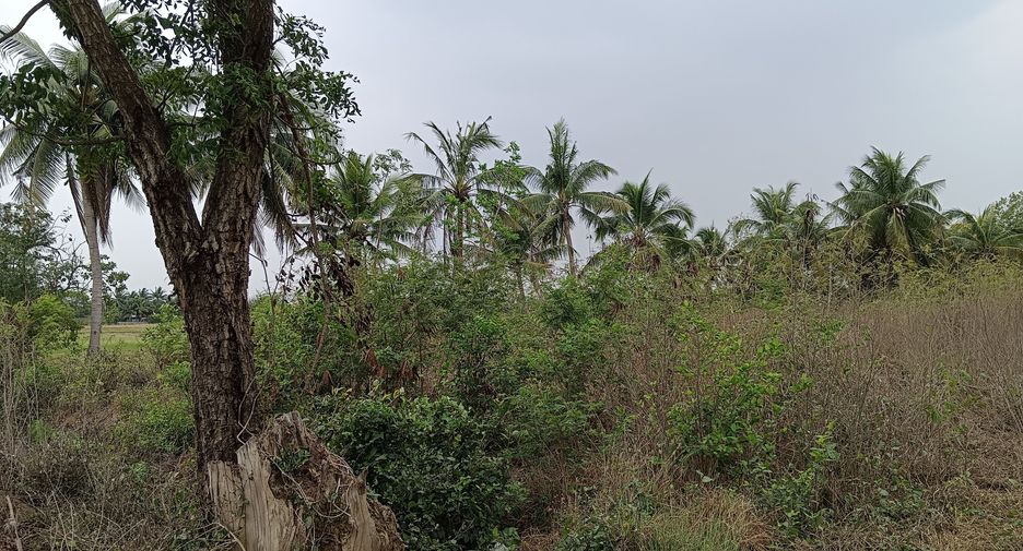 For sale land in Tha Ruea, Phra Nakhon Si Ayutthaya