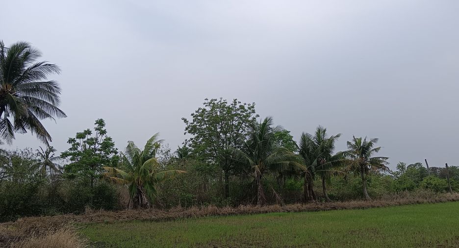 For sale land in Tha Ruea, Phra Nakhon Si Ayutthaya