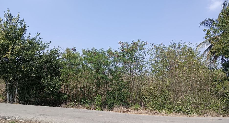 For sale land in Tha Ruea, Phra Nakhon Si Ayutthaya