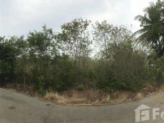 For sale land in Tha Ruea, Phra Nakhon Si Ayutthaya