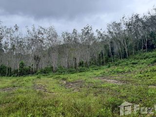 For sale land in Na Thawi, Songkhla