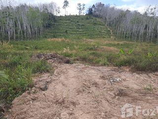 For sale land in Na Thawi, Songkhla