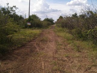 For sale land in Nong Ki, Buriram