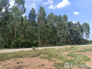 For sale land in Si Maha Phot, Prachin Buri