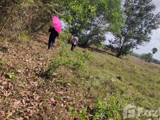 For sale land in Bang Klam, Songkhla