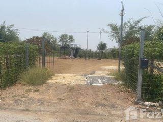 For sale land in Phachi, Phra Nakhon Si Ayutthaya