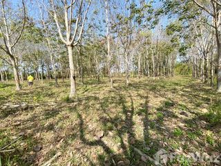 For sale land in Wiang Pa Pao, Chiang Rai