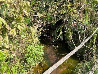 For sale land in Wiang Pa Pao, Chiang Rai