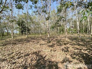 For sale land in Wiang Pa Pao, Chiang Rai