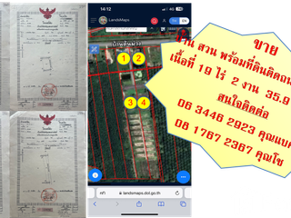 For sale land in Pa Bon, Phatthalung