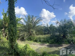 For sale land in Pa Bon, Phatthalung