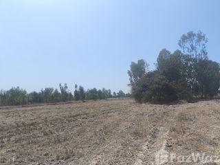 For sale land in Pa Sang, Lamphun