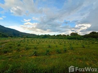 ขาย ที่ดิน ใน ไทรโยค, กาญจนบุรี