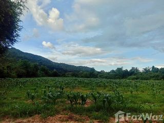 ขาย ที่ดิน ใน ไทรโยค, กาญจนบุรี