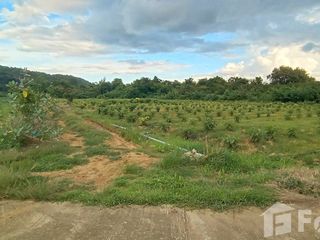 ขาย ที่ดิน ใน ไทรโยค, กาญจนบุรี