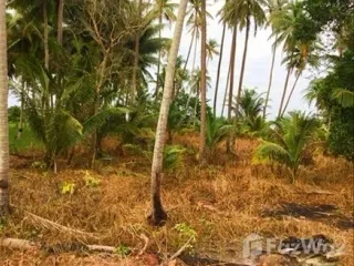 For sale land in Lang Suan, Chumphon