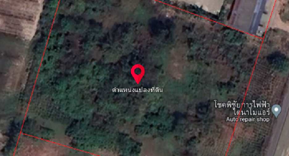 For sale land in Wiang Sa, Surat Thani