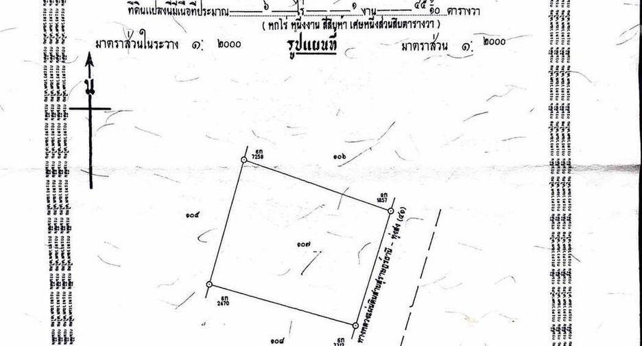 For sale land in Wiang Sa, Surat Thani