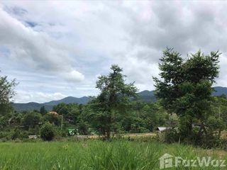 For sale land in Pai, Mae Hong Son