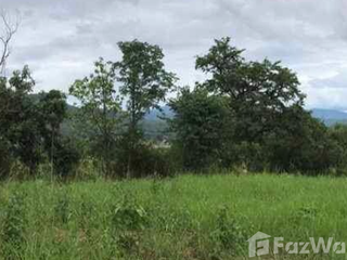 For sale land in Pai, Mae Hong Son
