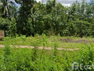 For sale land in Mueang Satun, Satun