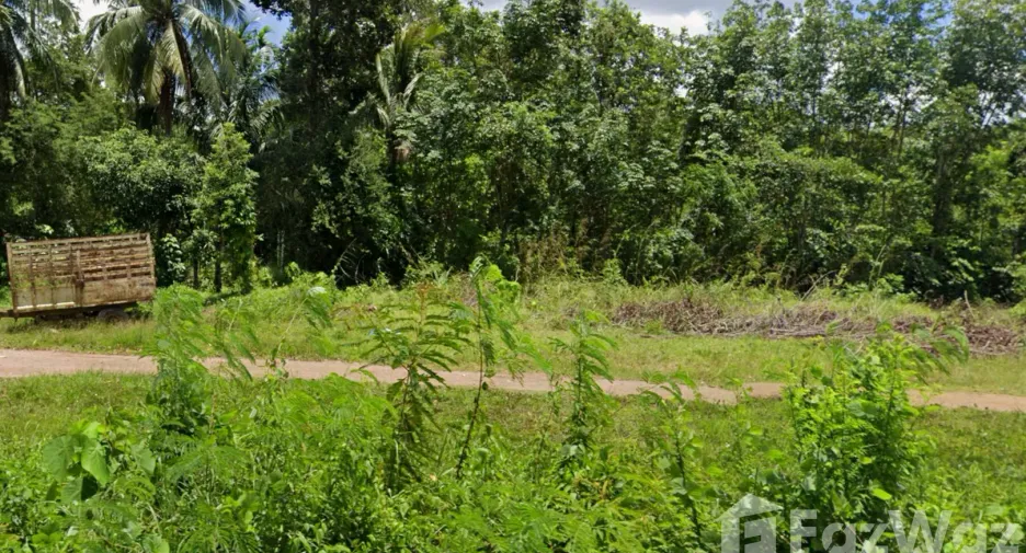For sale land in Mueang Satun, Satun