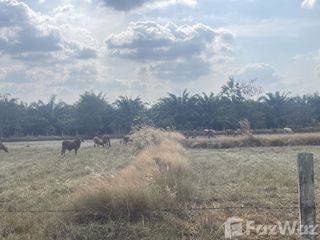 For sale land in Sawang Wirawong, Ubon Ratchathani