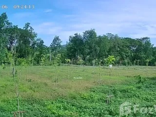 For sale land in Ban Tak, Tak