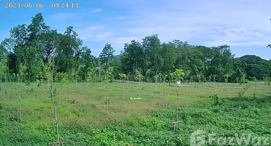 ขาย ที่ดิน ใน บ้านตาก, ตาก