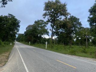 For sale land in Ban Tak, Tak