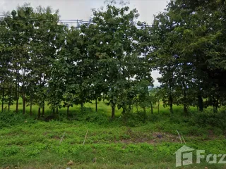 For sale land in Mueang Phayao, Phayao