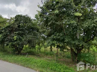 For sale land in Mueang Phayao, Phayao