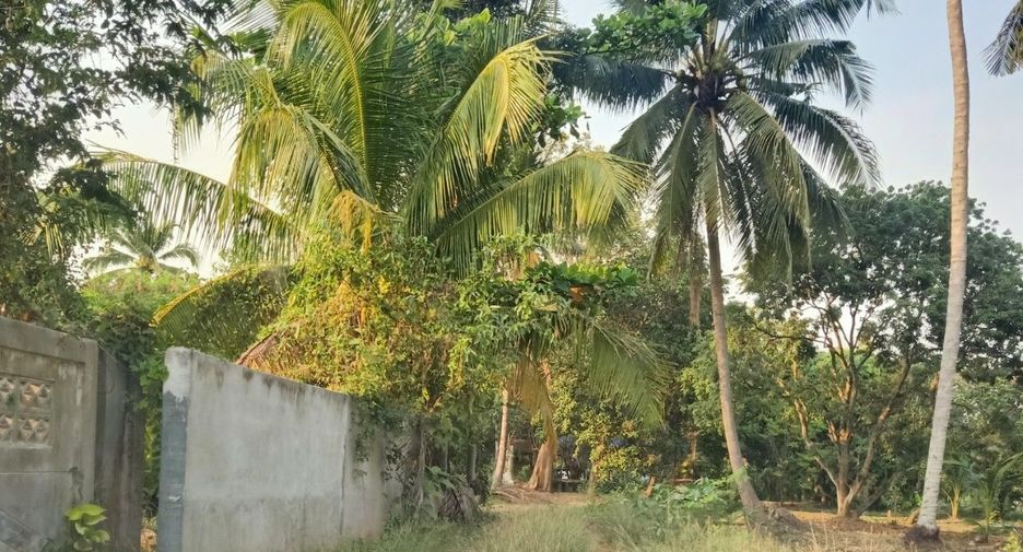 For sale land in Amphawa, Samut Songkhram