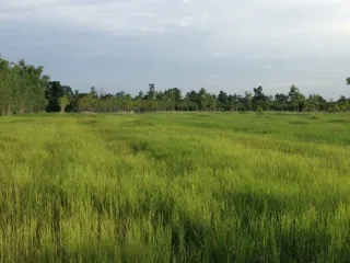 For sale land in Tan Sum, Ubon Ratchathani