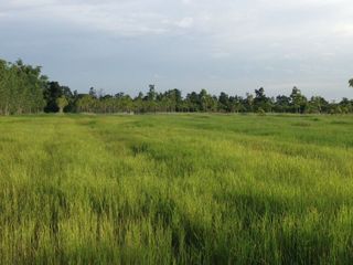 For sale land in Tan Sum, Ubon Ratchathani