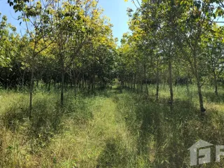 For sale land in Tan Sum, Ubon Ratchathani