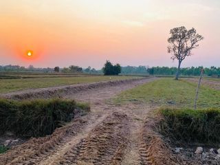 For sale land in Mueang Surin, Surin