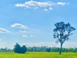 For sale land in Mueang Surin, Surin