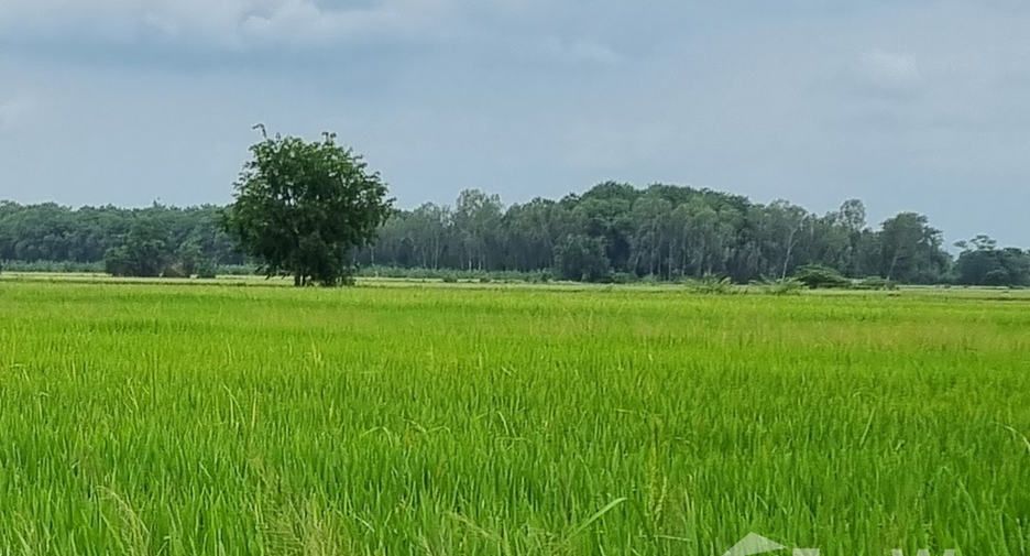 For sale land in Phrom Phiram, Phitsanulok
