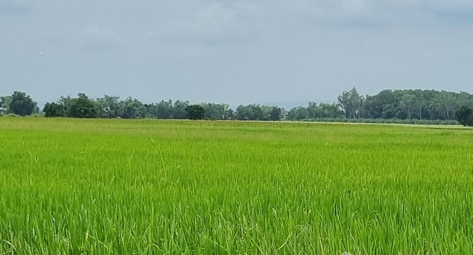 For sale land in Phrom Phiram, Phitsanulok