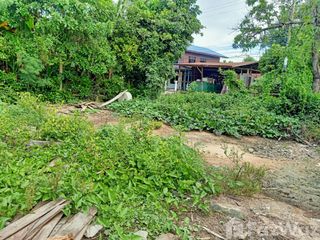 For sale land in Prang Ku, Sisaket