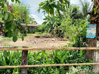 For sale land in Prang Ku, Sisaket