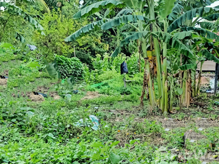 For sale land in Prang Ku, Sisaket