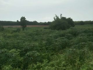 For sale land in Sakhrai, Nong Khai