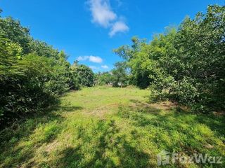 For sale land in Mueang Ubon Ratchathani, Ubon Ratchathani