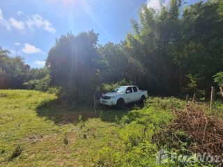 For sale land in Mueang Ubon Ratchathani, Ubon Ratchathani